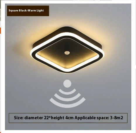 Infrared Sensor Lamp Led Aisle Light Corridor Light Staircase Light-controlled Ceiling Lamp